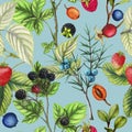 Botanical repeat pattern of hand drawn berries Royalty Free Stock Photo