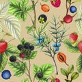 Botanical repeat pattern of hand drawn berries Royalty Free Stock Photo