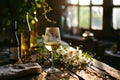 botanical research plant sample in glass flasks in laboratory with sunlight Royalty Free Stock Photo