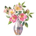 Watercolor bouquet of wild rose flowers and leaves on transparent vase, hand drawn floral illustration isolated on a Royalty Free Stock Photo