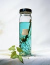 Lab specimen jar with preserved legume root nodules and bean plant leaves