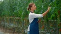 Botanical scientist device inspecting cultivation plants in tomato greenhouse