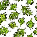 Botanical Seamless Endless Pattern of Green Curley Parsley Leaves. Background With Aromatic Herb. Fresh Cooking Salad Ingredient.