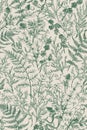 Botanical seamless hand-drawn pattern