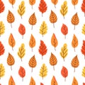 Botanical seamless pattern with autumn leaves Royalty Free Stock Photo