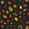 Botanical seamless pattern with autumn tree leaves and sprigs with berries on black background. Bright colored autumnal