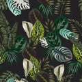 Botanical seamless pattern black background Royalty Free Stock Photo