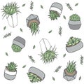 Botanical Seamless Pattern Doodle style illustration in vector format. Hand drawn Plants in pots Royalty Free Stock Photo