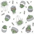 Botanical Seamless Pattern Doodle style illustration in vector format. Hand drawn Plants in pots