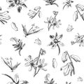 Botanical seamless pattern. The first spring flowers hand drawn on white. Use for fabric, wrapping paper, wallpaper