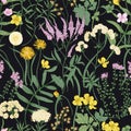 Botanical seamless pattern with flowering perennial plants. Natural backdrop with blooming wild meadow flowers on black