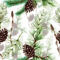 Botanical seamless pattern of forest plants and trees Royalty Free Stock Photo