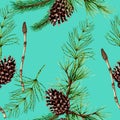 Botanical seamless pattern of forest plants and trees Royalty Free Stock Photo