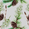 Botanical seamless pattern of forest plants and trees Royalty Free Stock Photo