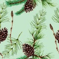 Botanical seamless pattern of forest plants and trees Royalty Free Stock Photo