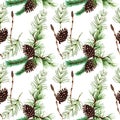 Botanical seamless pattern of forest plants and trees Royalty Free Stock Photo