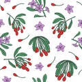 Botanical seamless pattern with fresh goji red berries and purple flowers on white background. Healthy organic superfood
