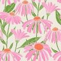 Botanical seamless pattern with gorgeous echinacea flowers, stems and leaves on light background. Backdrop with pink