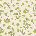 Botanical seamless pattern with green Ginkgo biloba tree leaves and seeds. Backdrop with plant parts hand drawn on light Royalty Free Stock Photo