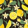 Botanical seamless pattern with lemons, whole and cut into pieces, branches with flowers and leaves on black background