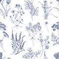 Botanical seamless pattern with meadow herbs, flowering plants and blooming wild flowers hand drawn with blue lines on Royalty Free Stock Photo