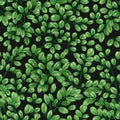 Botanical seamless pattern with Miracle Tree or Moringa oleifera leaves. Realistic backdrop with green foliage of