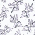 Botanical seamless pattern, olive branches drawn in pencil for postcards, Wallpaper, websites, fabric or wrapping paper Royalty Free Stock Photo