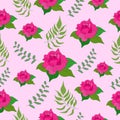 Botanical seamless pattern pink blooming rose with leaves on pink background. Flower illustration for booklet, an invitation card Royalty Free Stock Photo