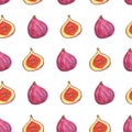 Botanical seamless pattern with purple figs. Watercolor illustration