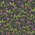 Botanical seamless pattern with red clover on dark background. Wild herbaceous plant with pink flowers, green stems and