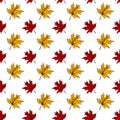 Botanical seamless pattern with red and yellow maple leaves on white background. Autumn design. Hand drawn sketch vector Royalty Free Stock Photo