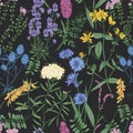 Botanical seamless pattern with romantic wild blooming flowers, meadow flowering herbs and herbaceous plants on black