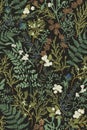 Botanical seamless pattern. Vintage