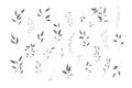 Botanical silhouette leaves hand drawn pencil sketches isolated