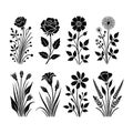 Botanical Silhouette Vector Set â Floral & Leaf Branches Royalty Free Stock Photo