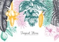 Botanical summer design. Vector frame with tropical plants, exotic flowers, citrus fruits, palm leaves. Tropical flora colorful Royalty Free Stock Photo