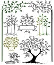 Botanical Tree Set/eps Royalty Free Stock Photo