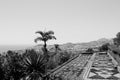 Botanical and tropical garden panoramic view with flowers and palms Funchal,Madeira,Portugal