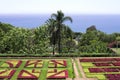 Botanical and tropical garden panoramic view with flowers and palms Funchal,Madeira,Portugal