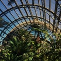 Botanical urban garden