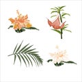 Botanical Vector Elements: hibiscus and tropical lilies flowers and palm leaves. Royalty Free Stock Photo