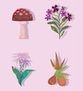 botanical vegetation flowers