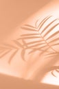 Botanical velvety gentle peach tone peach fuzz background