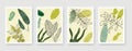 Botanical wall art vector collection. Vector illustration