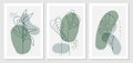 Botanical wall art vector set. boho organic