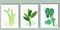 Botanical wall art vector set. Green leaves art drawing with watercolor. Abstract Plant Art design for wall framed prints, canva Royalty Free Stock Photo