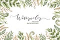 Botanical watercolor clipart. Set of Green leaves, fern, herbs and branches.Vector illustrations. Floral Design elements. Perfect Royalty Free Stock Photo