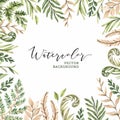 Botanical watercolor clipart. Set of Green leaves, fern, herbs and branches.Vector illustrations. Floral Design elements. Perfect Royalty Free Stock Photo