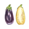 Botanical watercolor illustration of blue eggplant aubergine whole and cut on white background