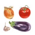 Botanical watercolor illustration of onion, tomato, garlic, aubergine Royalty Free Stock Photo